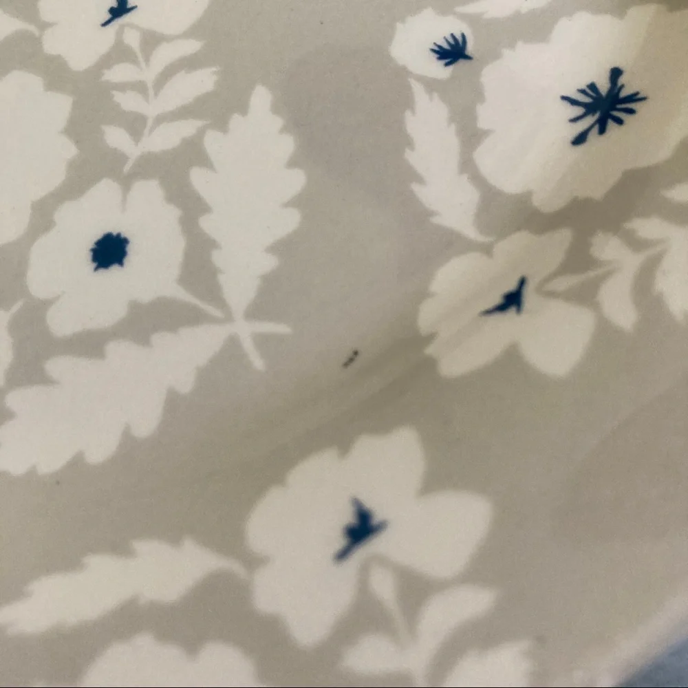 Pier 1 Ironstone botanical floral salad plates set of 4